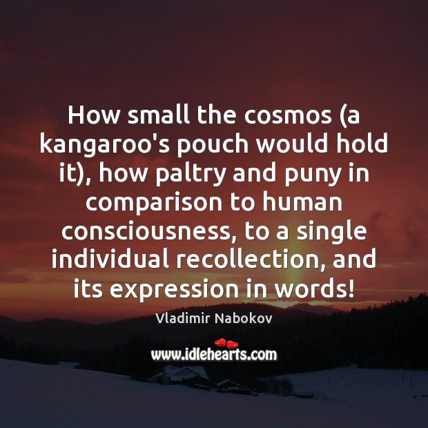How small the cosmos (a kangaroo’s pouch would hold it), how paltry Vladimir Nabokov Picture Quote