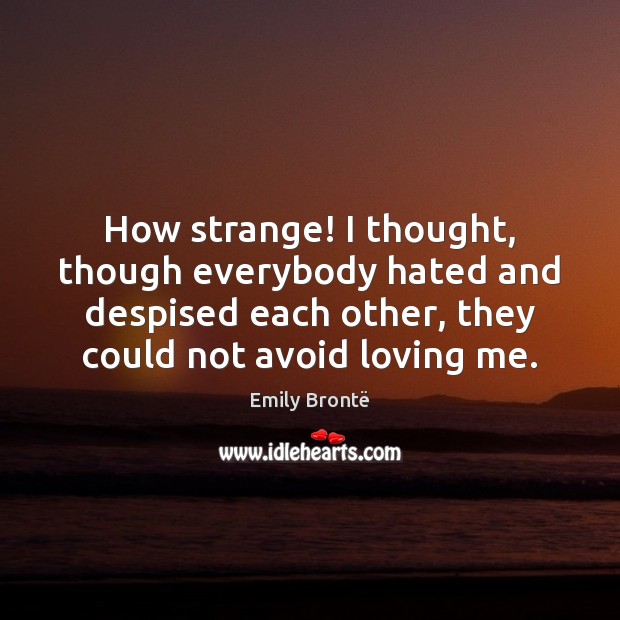 How strange! I thought, though everybody hated and despised each other, they Image