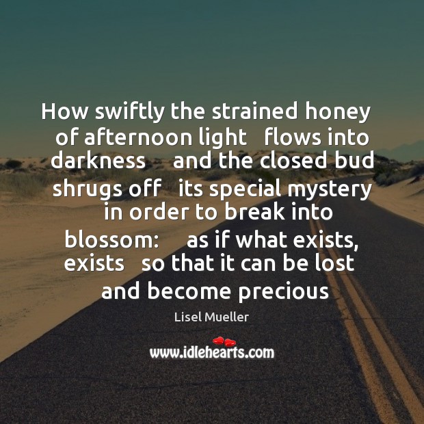 How swiftly the strained honey   of afternoon light   flows into darkness     and Lisel Mueller Picture Quote