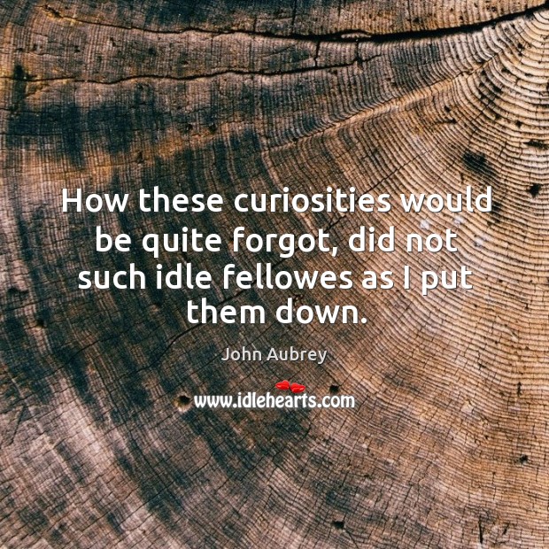 How these curiosities would be quite forgot, did not such idle fellowes as I put them down. John Aubrey Picture Quote