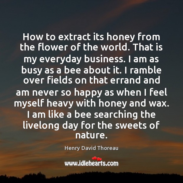 How to extract its honey from the flower of the world. That Flowers Quotes Image