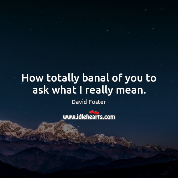 How totally banal of you to ask what I really mean. David Foster Picture Quote