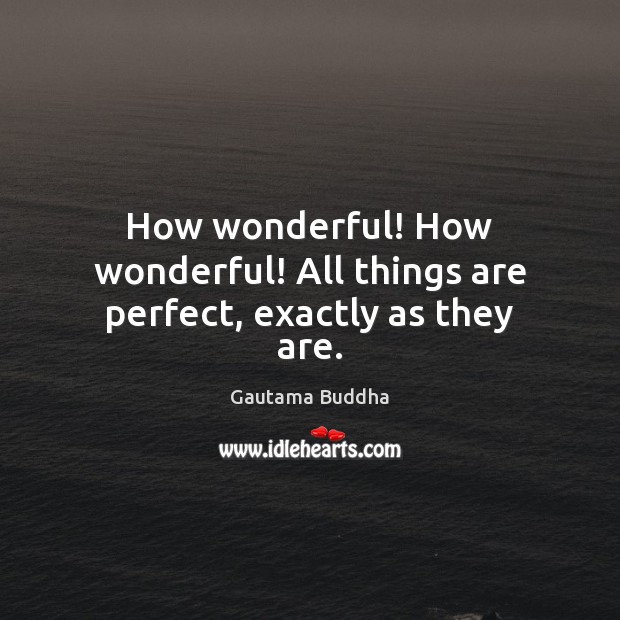 How wonderful! How wonderful! All things are perfect, exactly as they are. Gautama Buddha Picture Quote