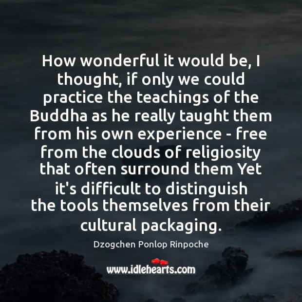 How wonderful it would be, I thought, if only we could practice Dzogchen Ponlop Rinpoche Picture Quote