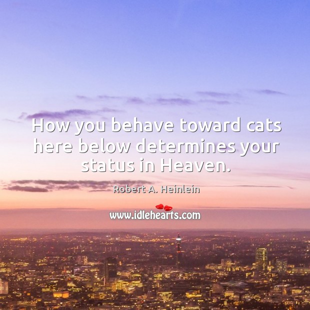 How you behave toward cats here below determines your status in heaven. Robert A. Heinlein Picture Quote