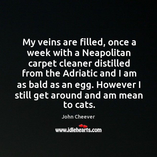 However I still get around and am mean to cats. John Cheever Picture Quote