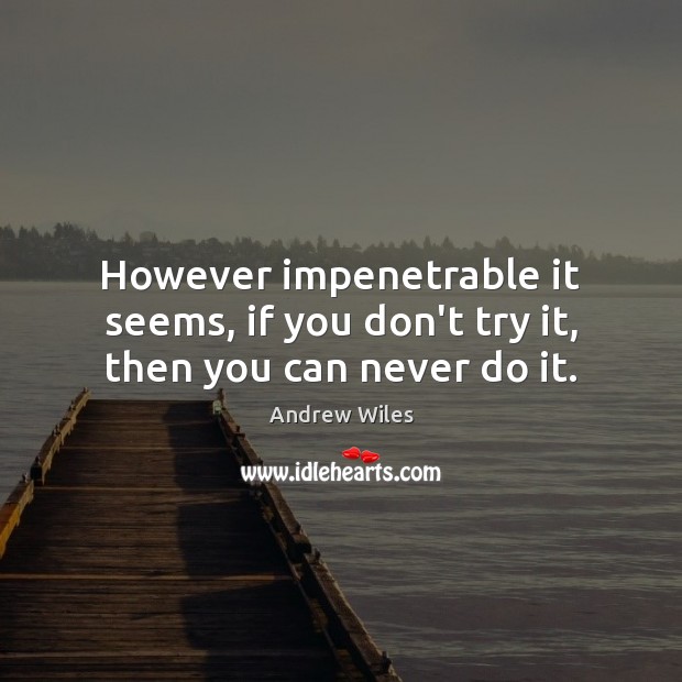 However impenetrable it seems, if you don’t try it, then you can never do it. Andrew Wiles Picture Quote