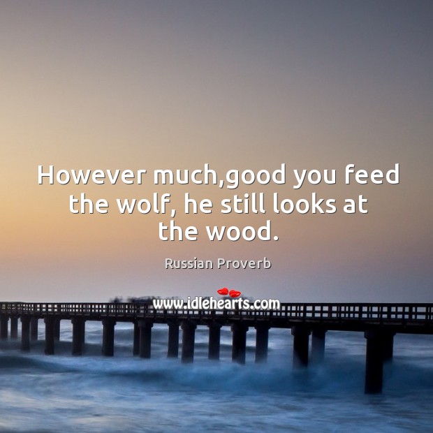 However much,good you feed the wolf, he still looks at the wood. Image