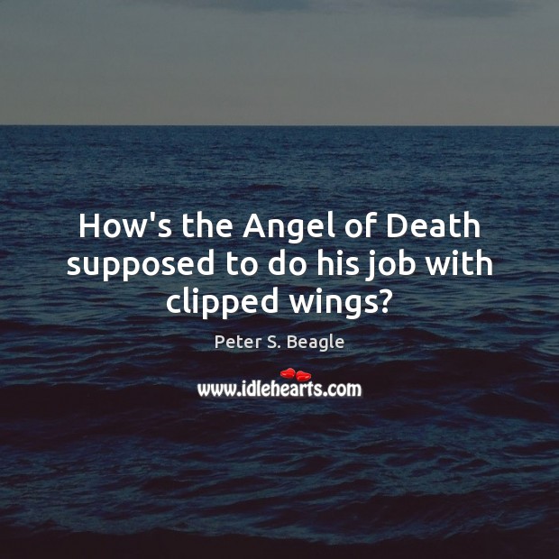 How’s the Angel of Death supposed to do his job with clipped wings? Peter S. Beagle Picture Quote
