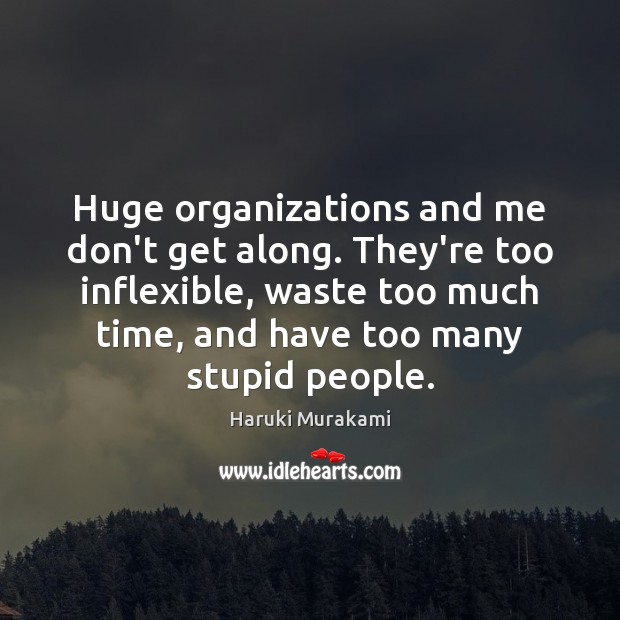 Huge organizations and me don’t get along. They’re too inflexible, waste too 
