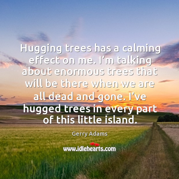 Hugging trees has a calming effect on me. I’m talking about enormous trees that will Gerry Adams Picture Quote