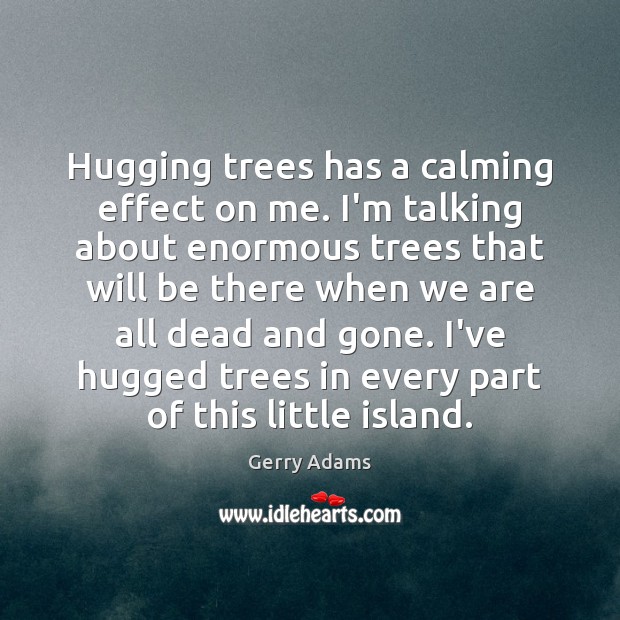 Hugging trees has a calming effect on me. I’m talking about enormous Gerry Adams Picture Quote