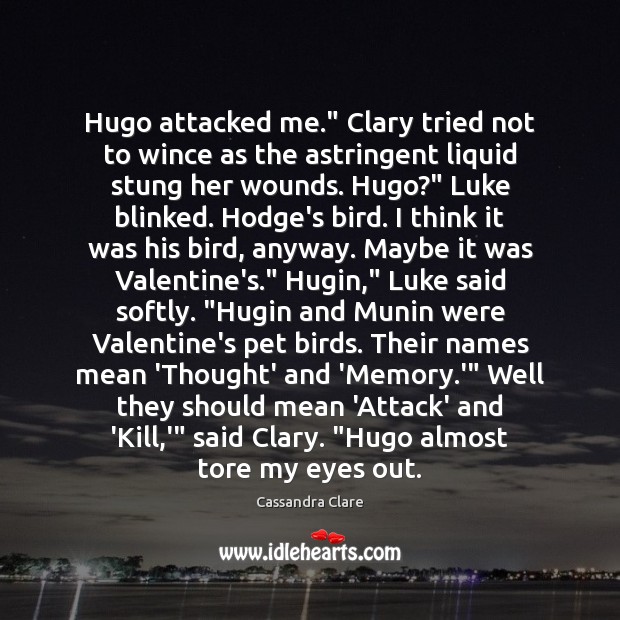 Hugo attacked me.” Clary tried not to wince as the astringent liquid 