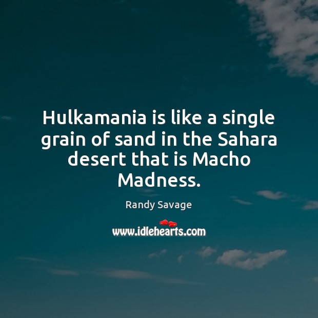 Hulkamania is like a single grain of sand in the Sahara desert that is Macho Madness. Randy Savage Picture Quote