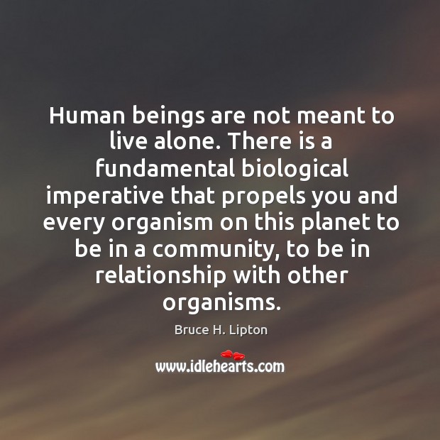 Human beings are not meant to live alone. There is a fundamental Bruce H. Lipton Picture Quote