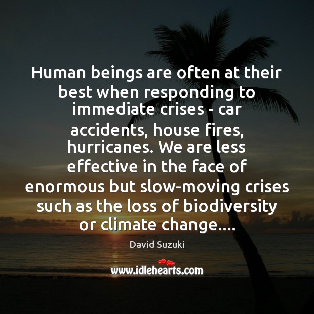 Human beings are often at their best when responding to immediate crises David Suzuki Picture Quote