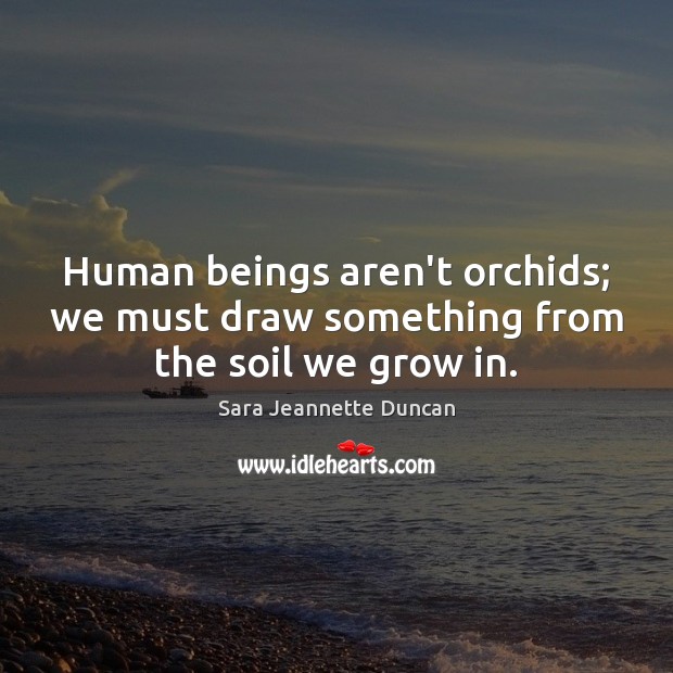Human beings aren’t orchids; we must draw something from the soil we grow in. Image