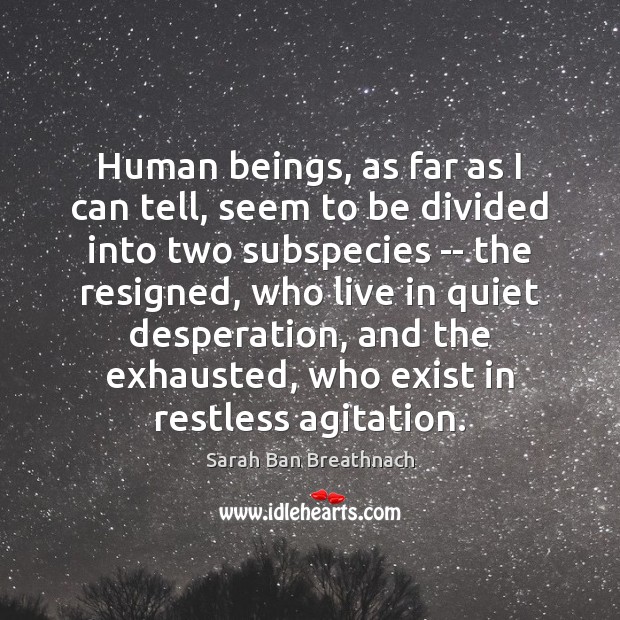 Human beings, as far as I can tell, seem to be divided Sarah Ban Breathnach Picture Quote