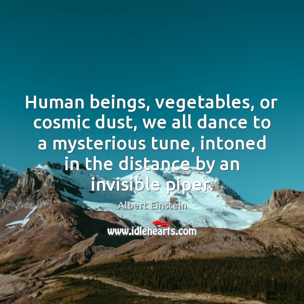 Human beings, vegetables, or cosmic dust, we all dance to a mysterious Image