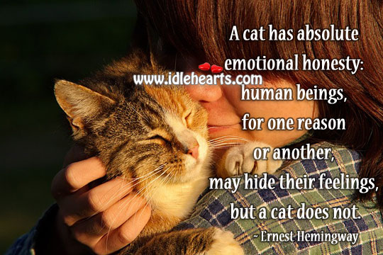 A cat has absolute emotional honesty Ernest Hemingway Picture Quote