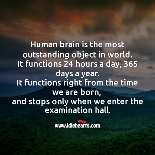 Human brain is the most outstanding object in world. Funny Messages Image