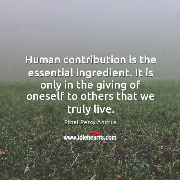 Human contribution is the essential ingredient. It is only in the giving Ethel Percy Andrus Picture Quote