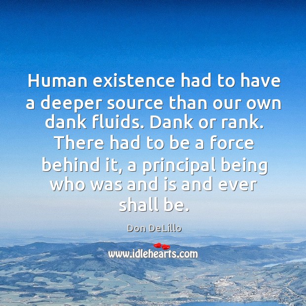 Human existence had to have a deeper source than our own dank Don DeLillo Picture Quote