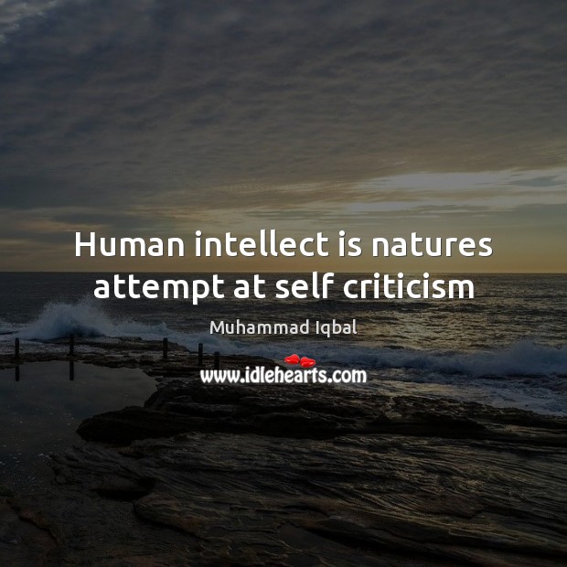 Human intellect is natures attempt at self criticism Image