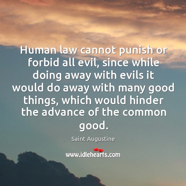 Human law cannot punish or forbid all evil, since while doing away Saint Augustine Picture Quote