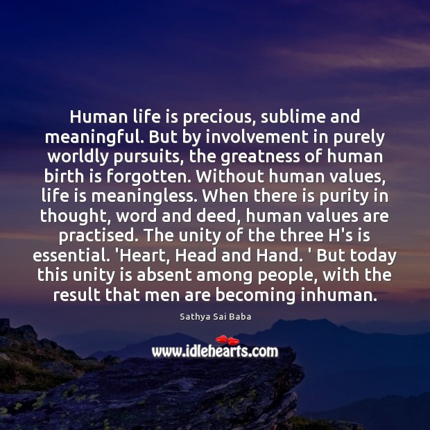 Human life is precious, sublime and meaningful. But by involvement in purely Sathya Sai Baba Picture Quote
