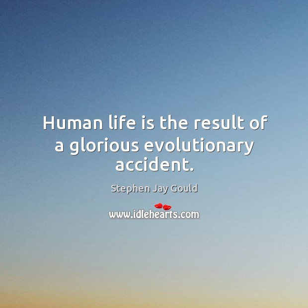 Human life is the result of a glorious evolutionary accident. Stephen Jay Gould Picture Quote