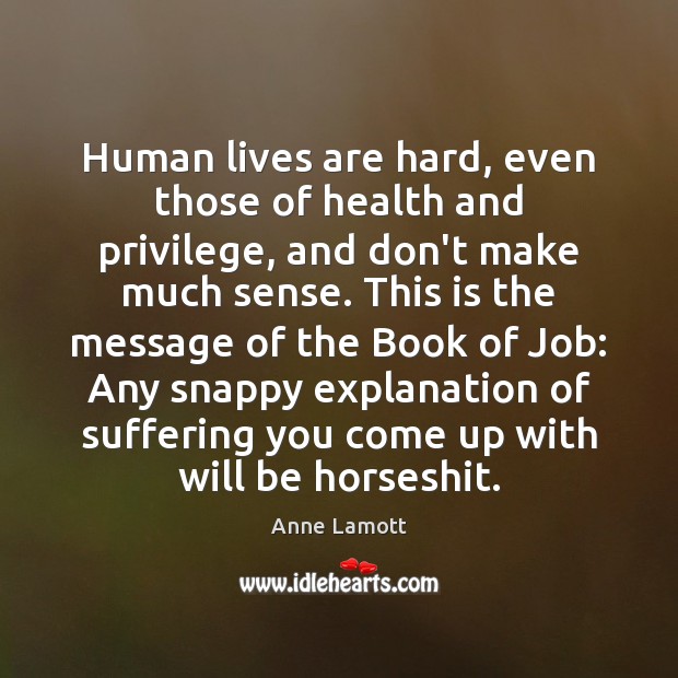 Human lives are hard, even those of health and privilege, and don’t Anne Lamott Picture Quote