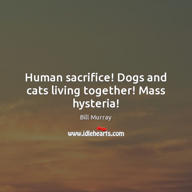 Human sacrifice! Dogs and cats living together! Mass hysteria! Bill Murray Picture Quote