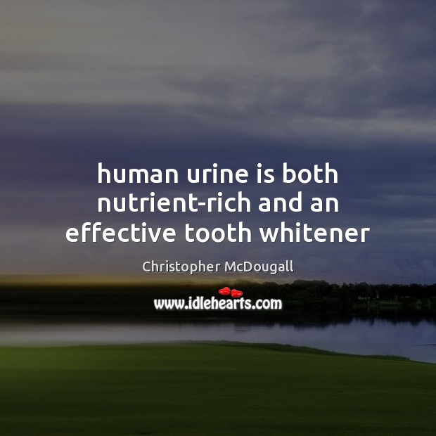 Human urine is both nutrient-rich and an effective tooth whitener Christopher McDougall Picture Quote