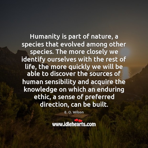 Humanity is part of nature, a species that evolved among other species. E. O. Wilson Picture Quote