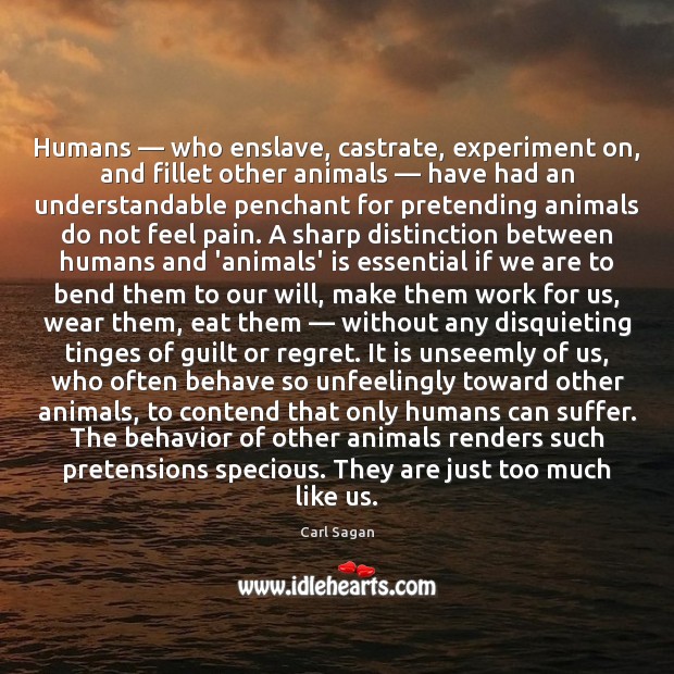 Humans — who enslave, castrate, experiment on, and fillet other animals — have had Image