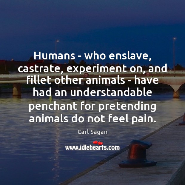Humans – who enslave, castrate, experiment on, and fillet other animals – Image