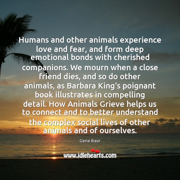 Humans and other animals experience love and fear, and form deep emotional Gene Baur Picture Quote