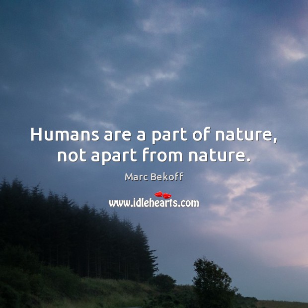 Humans are a part of nature, not apart from nature. Marc Bekoff Picture Quote