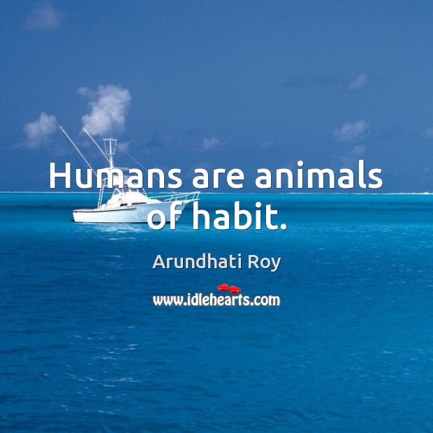 Humans are animals of habit. Arundhati Roy Picture Quote