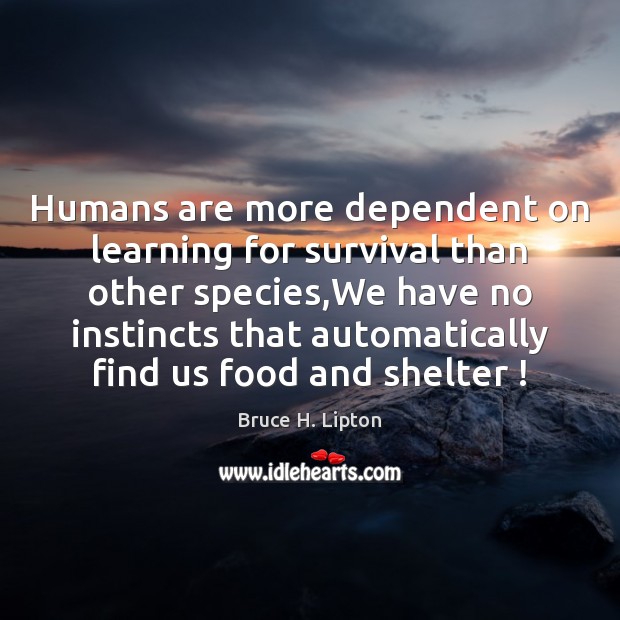 Humans are more dependent on learning for survival than other species,We Bruce H. Lipton Picture Quote
