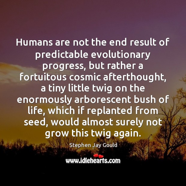 Humans are not the end result of predictable evolutionary progress, but rather Image