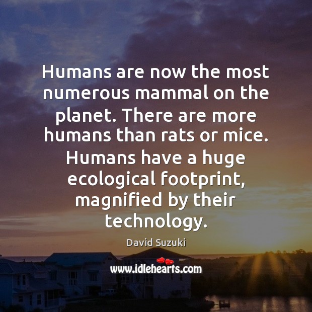 Humans are now the most numerous mammal on the planet. There are David Suzuki Picture Quote