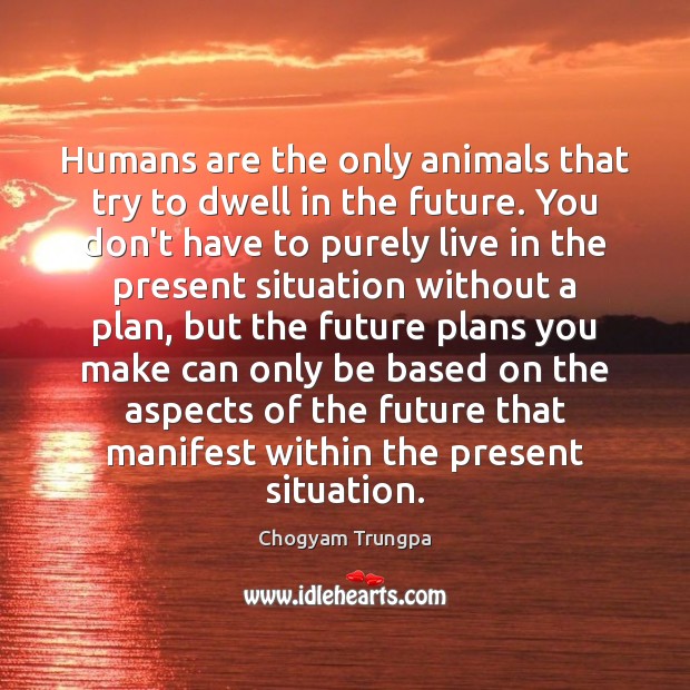 Humans are the only animals that try to dwell in the future. Chogyam Trungpa Picture Quote