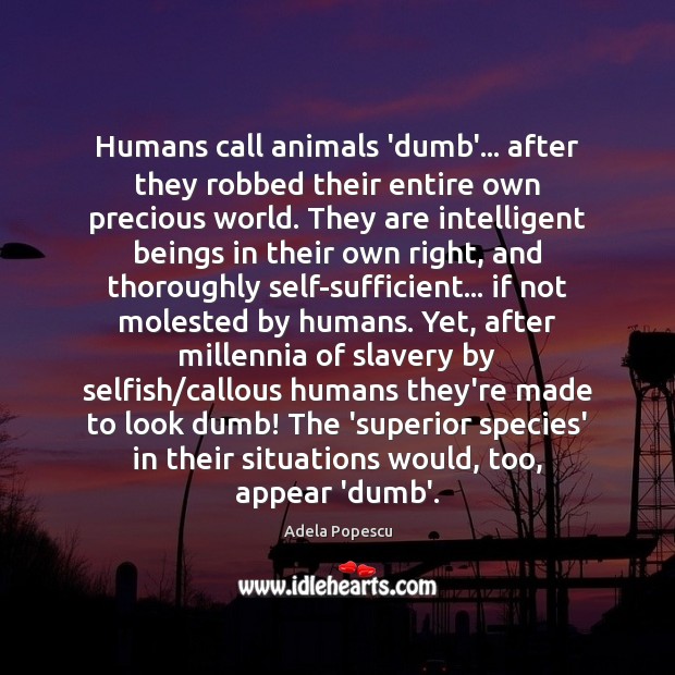 Humans call animals ‘dumb’… after they robbed their entire own precious world. Selfish Quotes Image