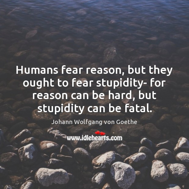 Humans fear reason, but they ought to fear stupidity- for reason can Johann Wolfgang von Goethe Picture Quote