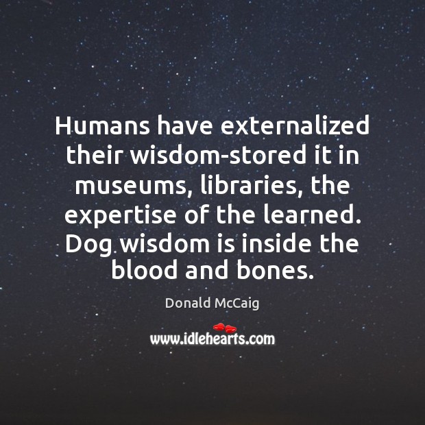 Humans have externalized their wisdom-stored it in museums, libraries, the expertise of Donald McCaig Picture Quote