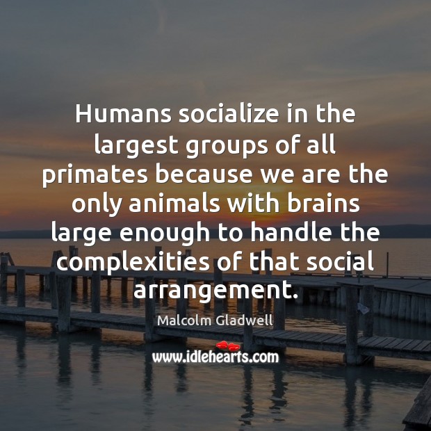 Humans socialize in the largest groups of all primates because we are Malcolm Gladwell Picture Quote