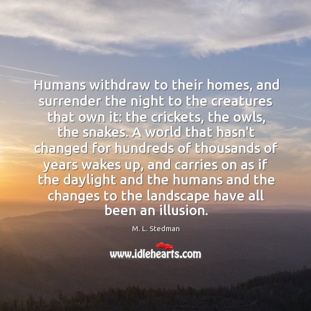 Humans withdraw to their homes, and surrender the night to the creatures Image