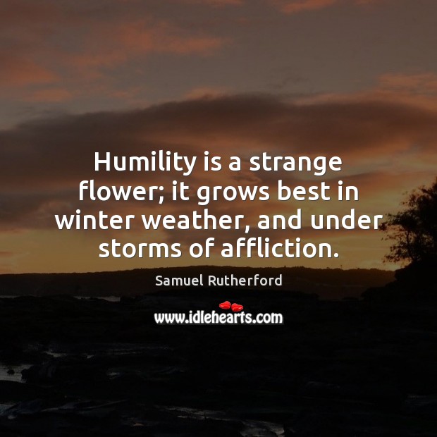 Humility is a strange flower; it grows best in winter weather, and Image